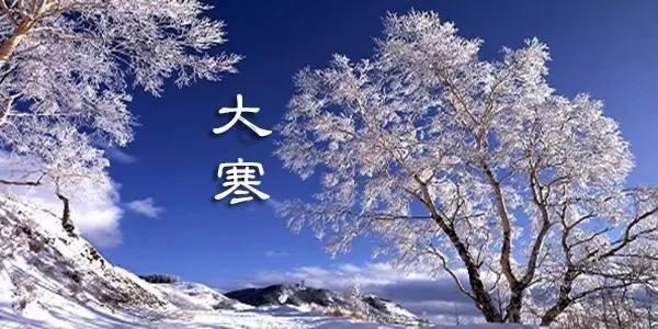 偶像经纪人