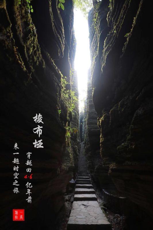 僵尸过人行道
