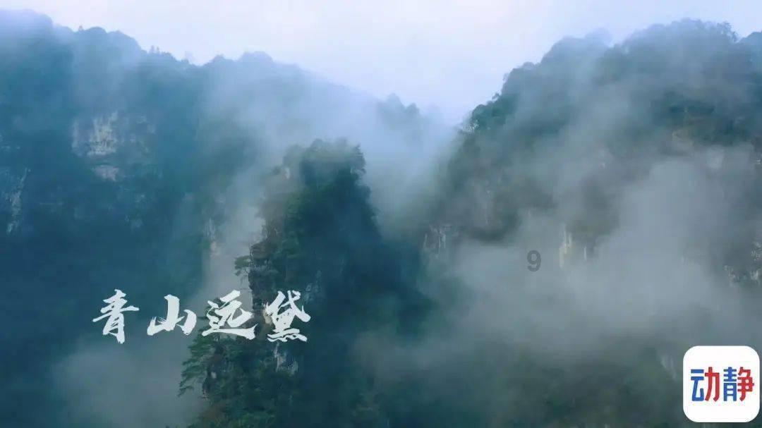镜头前首席质量官“华山论剑”