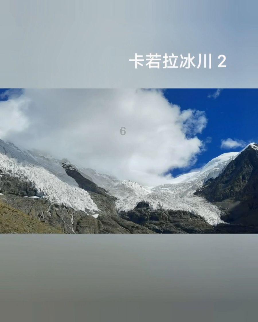 春雨直播app
