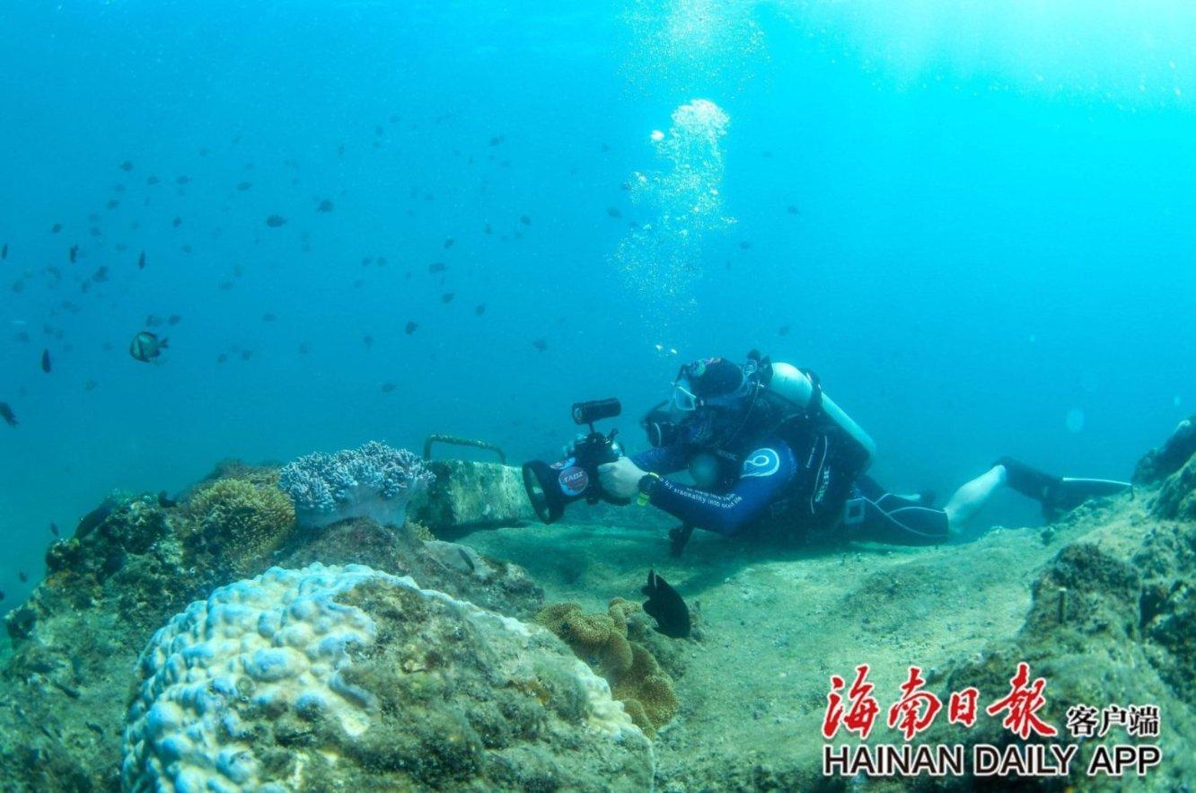 毛豆炒肉的毛豆到底要不要焯水，教你正确做法，毛豆嫩绿香辣可口