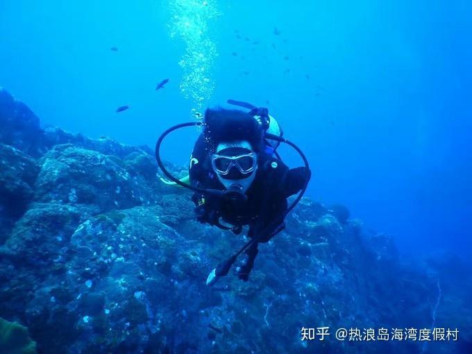 看门狗2