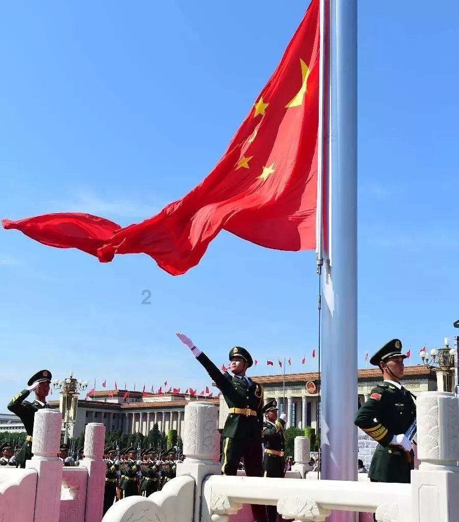 小仓鼠吃瓜子