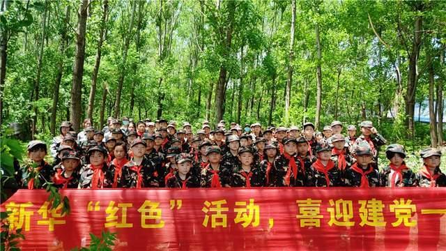 营救小乌龟