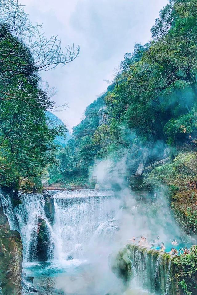 动物帮帮忙保卫家园