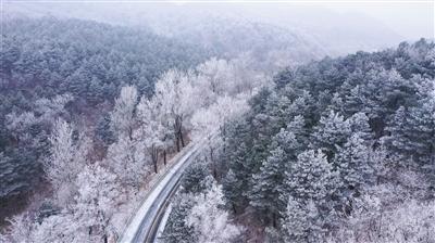 翻转吧，苹果虫
